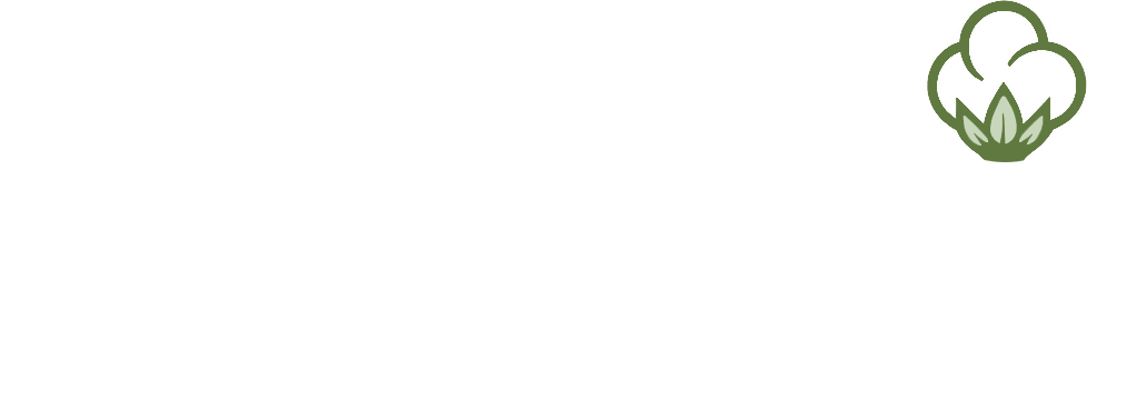 Sansuti